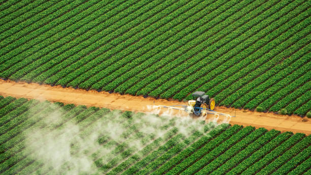 Reliable Conestee, SC Pest Control Solutions