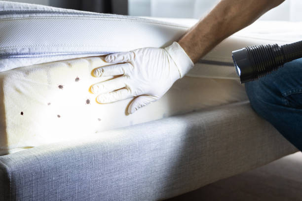 Best Pest Prevention Services  in Conestee, SC
