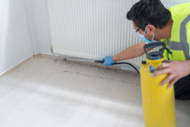 Pest Prevention Services in Conestee, SC